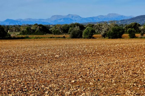 Tomt till salu Manacor, Mallorca, Spanien 33693 kvm. Nr. 129229 - foto 1