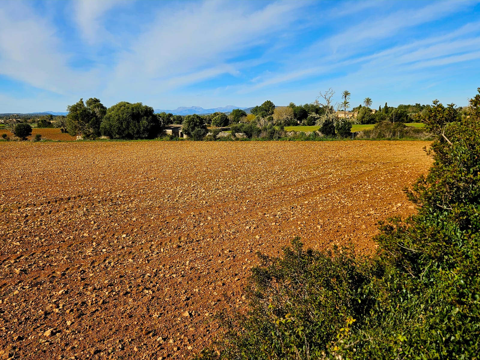 Terreno a Manacor, Mallorca, Spagna 33693 mq. N° 129229