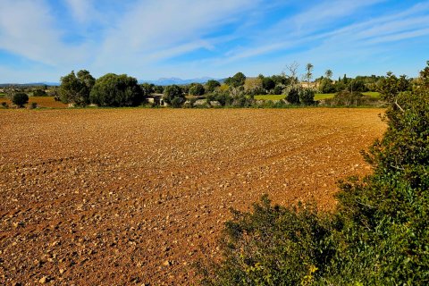 Tomt till salu Manacor, Mallorca, Spanien 33693 kvm. Nr. 129229 - foto 9