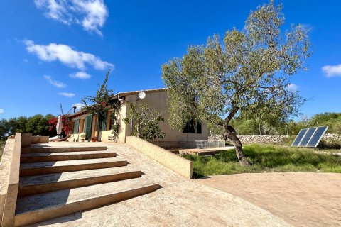 Finca for rent Santa Margalida, Mallorca, Spain 3 bedrooms, 139 sq.m. No. 129224 - photo 26