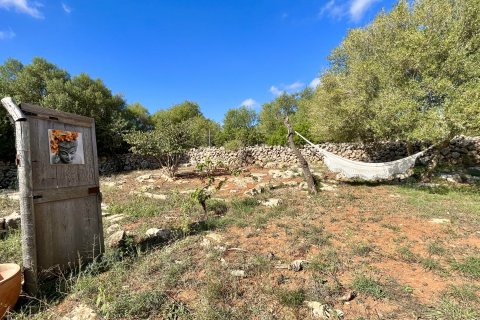 Finca for rent Santa Margalida, Mallorca, Spain 3 bedrooms, 139 sq.m. No. 129224 - photo 28