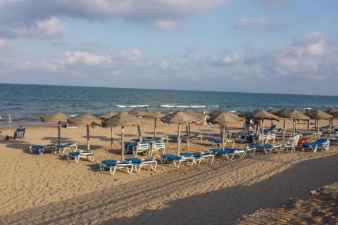 Bungalow zum Verkauf La Mata, Alicante, Spanien 3 Schlafzimmer, 120 m2 Nr. 131577 - Foto 22