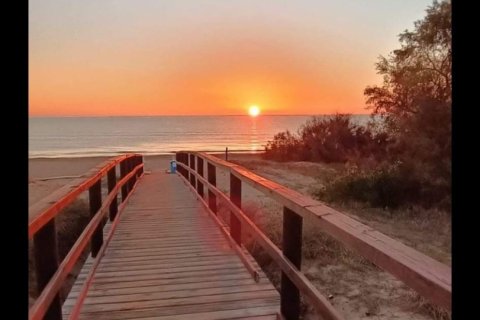 Bungalow zum Verkauf La Mata, Alicante, Spanien 3 Schlafzimmer, 120 m2 Nr. 131577 - Foto 9