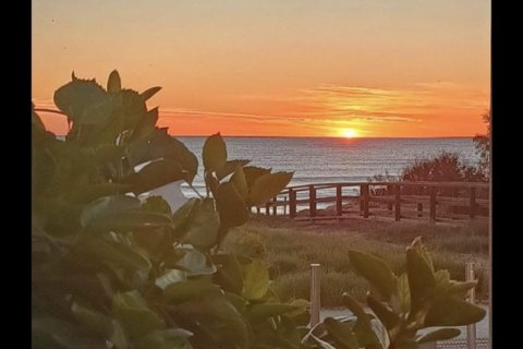 Bungalow zum Verkauf La Mata, Alicante, Spanien 3 Schlafzimmer, 120 m2 Nr. 131577 - Foto 8