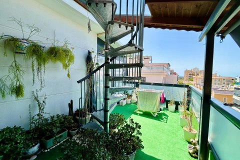 Продажа квартиры Эльче, Аликанте, Испания 3 спальни, 124м2 №122630 - фото 15