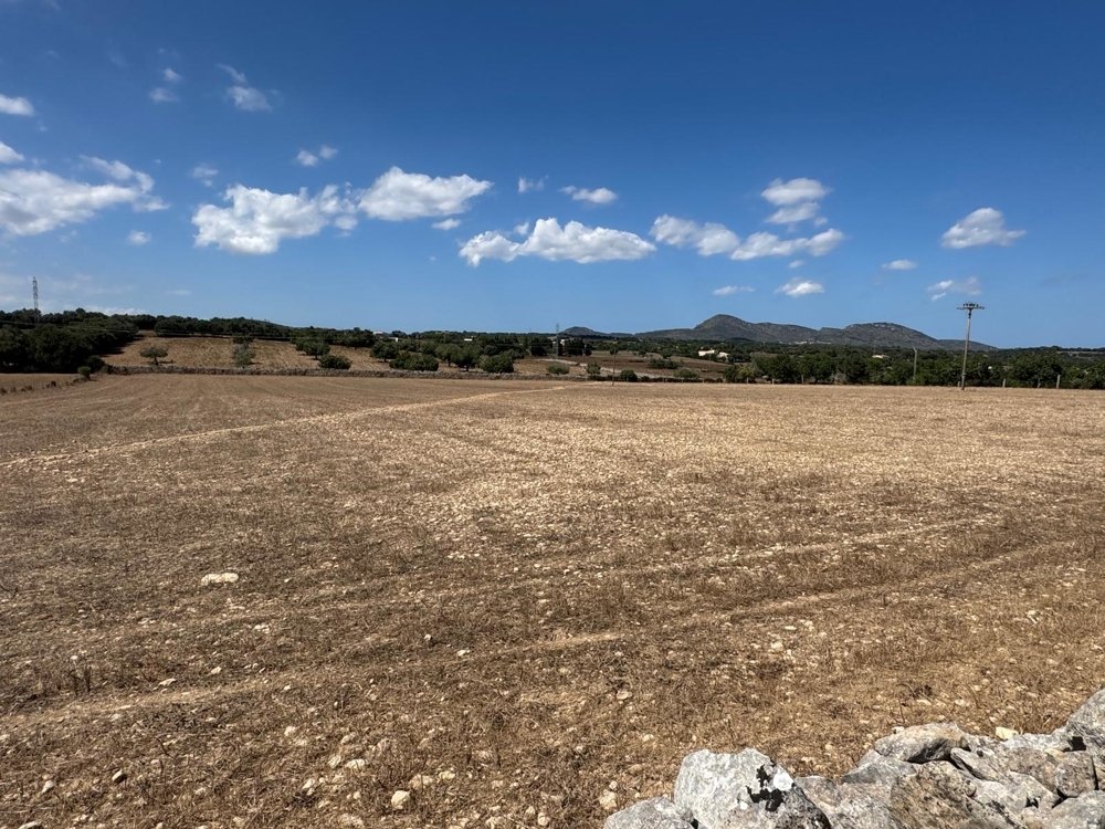 Hus i Manacor, Mallorca, Spanien Nr. 129959
