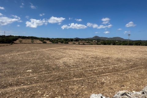House à vendre Manacor, Mallorca, EspagneNo. 129959 - photo 5