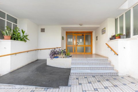 Apartment for sale La Mata, Alicante, Spain 3 bedrooms, 85 sq.m. No. 128641 - photo 25