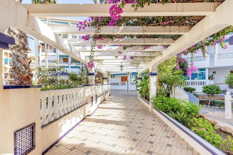 Apartment for sale La Mata, Alicante, Spain 3 bedrooms, 85 sq.m. No. 128641 - photo 28