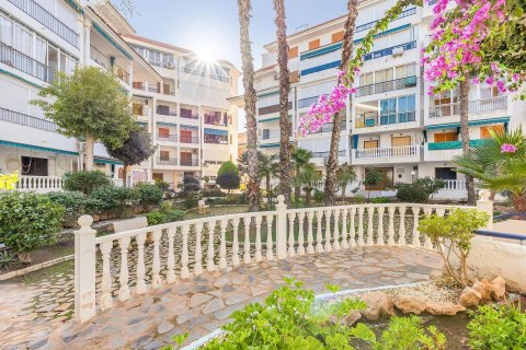 Apartment for sale La Mata, Alicante, Spain 3 bedrooms, 85 sq.m. No. 128641 - photo 27