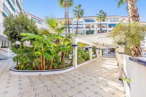 Apartment for sale La Mata, Alicante, Spain 3 bedrooms, 85 sq.m. No. 128641 - photo 26