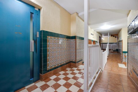 Apartamento en venta Guardamar del Segura, Alicante, España 4 dormitorios, 131 m2 No. 125985 - foto 6
