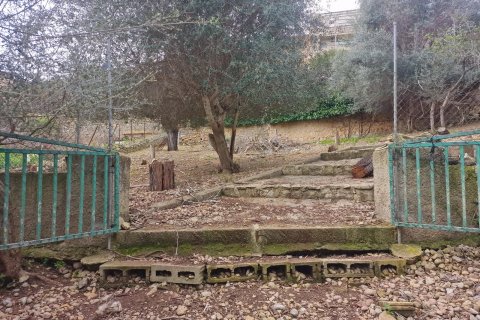 Villa in vendita Campanet, Mallorca, Spagna 8 camere da letto, 3500 mq. N° 128154 - foto 11