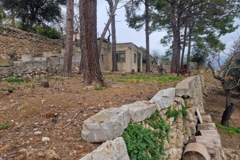Villa in vendita Campanet, Mallorca, Spagna 8 camere da letto, 3500 mq. N° 128154 - foto 9