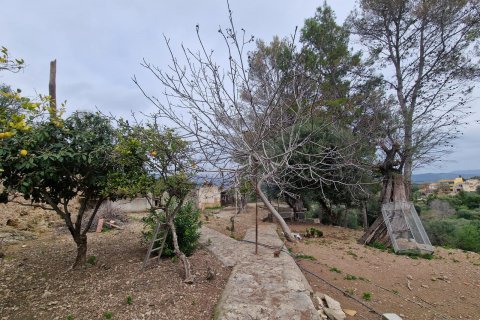 Villa in vendita Campanet, Mallorca, Spagna 8 camere da letto, 3500 mq. N° 128154 - foto 12