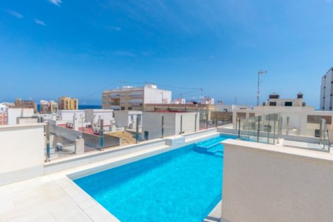 Apartamento en venta Torrevieja, Alicante, España 3 dormitorios,  No. 125519 - foto 16