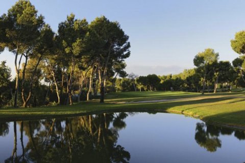 Apartament Torrevieja, Alicante, Hiszpania 3 sypialnie, 139 mkw. nr 127736 – zdjęcie 11