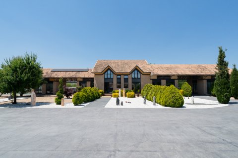 Villa à vendre à Valdetorres de Jarama, Madrid, Espagne, 4 chambres, 654 m2 No. 121997 - photo 12