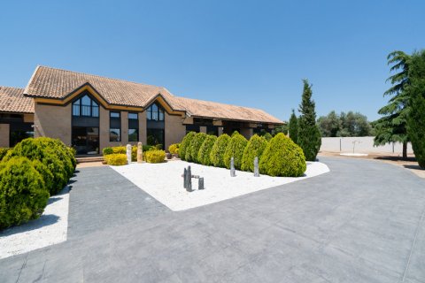 Villa till salu Valdetorres de Jarama, Madrid, Spanien 4 sovrum, 654 kvm. Nr. 121997 - foto 16