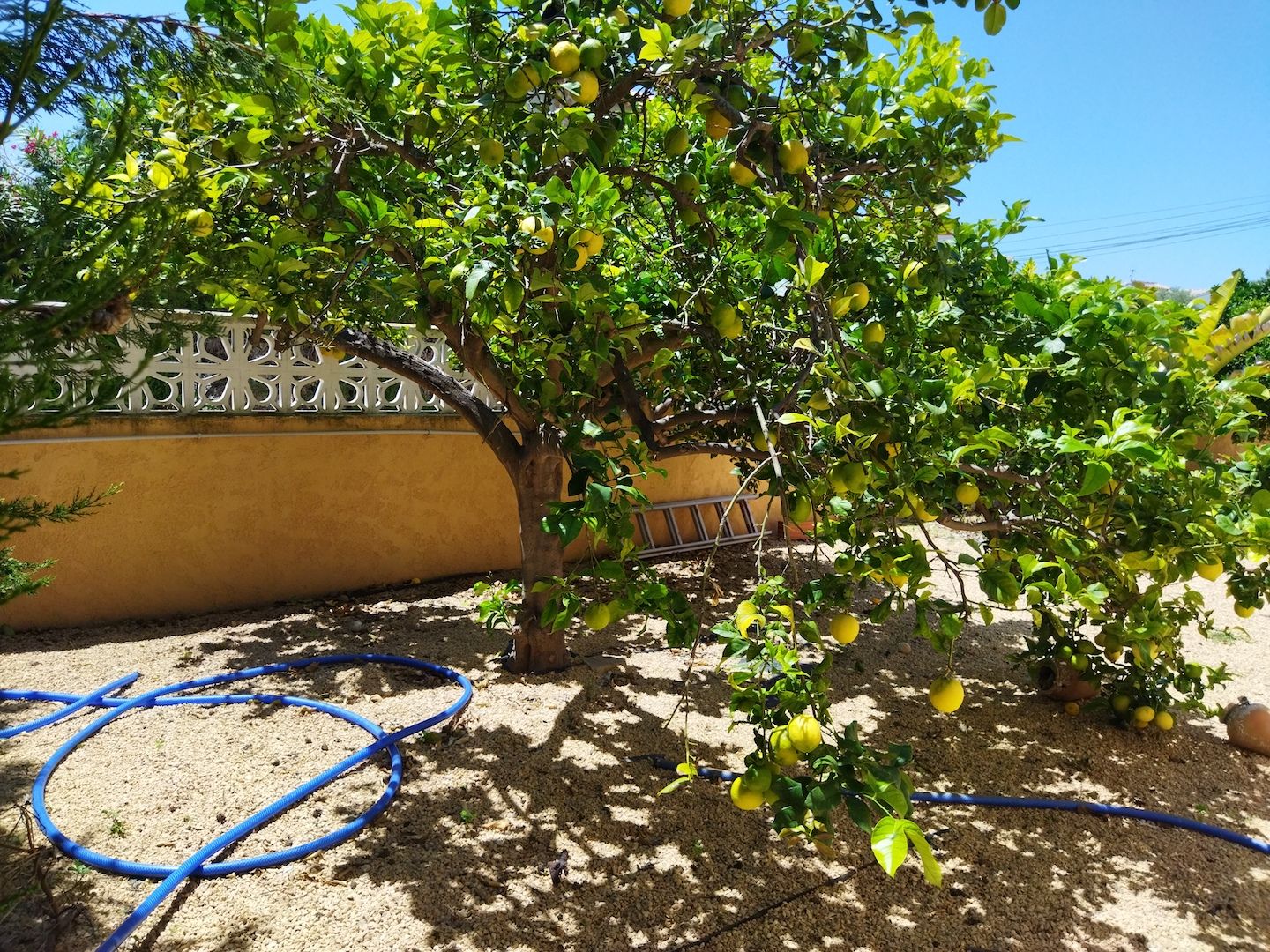 Villa en Calpe, Alicante, España 6 dormitorios, 304 m2 No. 122000