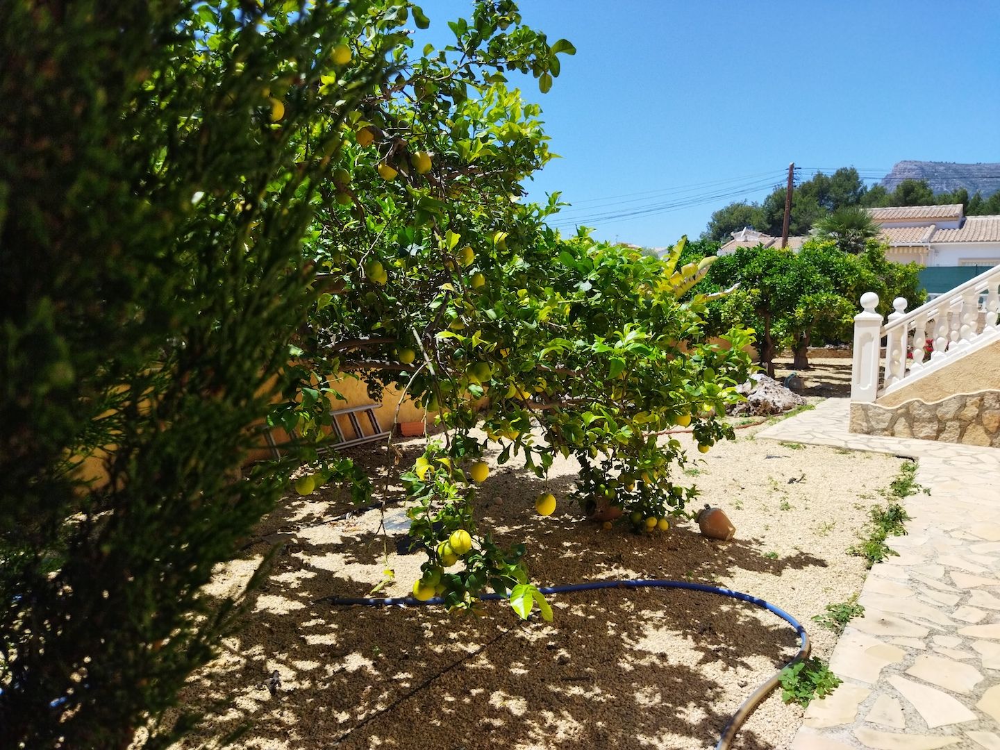 Villa en Calpe, Alicante, España 6 dormitorios, 304 m2 No. 122000