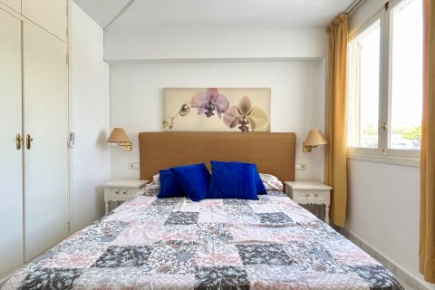 Apartment à louer Palmanova, Mallorca, Espagne, 1 chambre, 42 m2 No. 131018 - photo 8