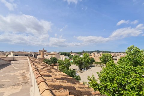 Propiedad comercial en venta Porreres, Mallorca, España 1800 m2 No. 131022 - foto 4
