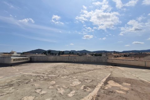 Propiedad comercial en venta Porreres, Mallorca, España 1800 m2 No. 131022 - foto 2