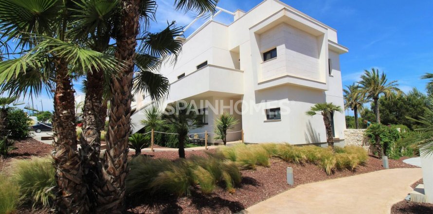 Appartamento Pilar de la Horadada, Alicante, Spagna 3 camere da letto, 98 mq. N° 121773