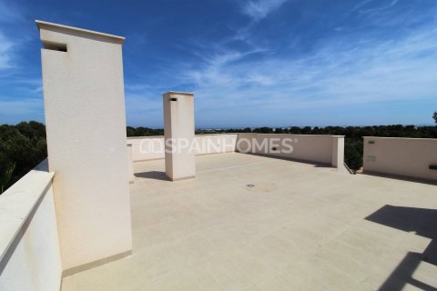 Appartamento in vendita Pilar de la Horadada, Alicante, Spagna 3 camere da letto, 98 mq. N° 121773 - foto 8