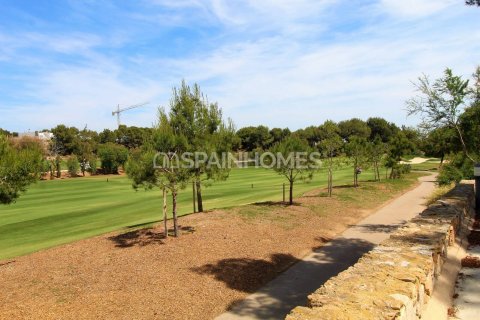 Appartamento in vendita Pilar de la Horadada, Alicante, Spagna 3 camere da letto, 98 mq. N° 121773 - foto 22