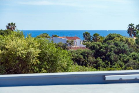 Продажа виллы Сант-Луис, Менорка, Испания 3 спальни, 210м2 №128007 - фото 13