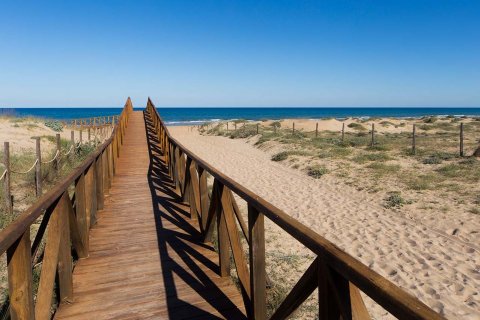 Apartamento en venta Guardamar del Segura, Alicante, España 2 dormitorios, 56 m2 No. 131352 - foto 19