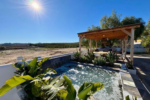 Villa zum Verkauf San Miguel de Salinas, Alicante, Spanien 4 Schlafzimmer, 300 m2 Nr. 128895 - Foto 2