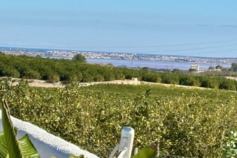Villa zum Verkauf San Miguel de Salinas, Alicante, Spanien 4 Schlafzimmer, 300 m2 Nr. 128895 - Foto 7