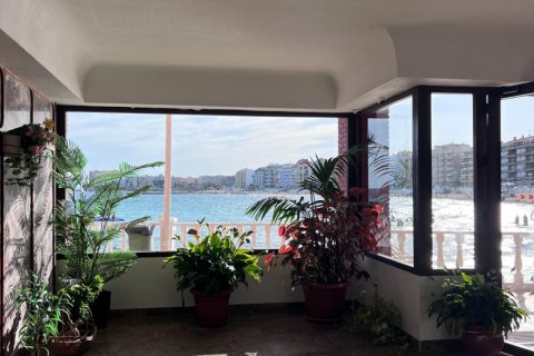 Appartamento in vendita Torrevieja, Alicante, Spagna 3 camere da letto, 86 mq. N° 131960 - foto 8