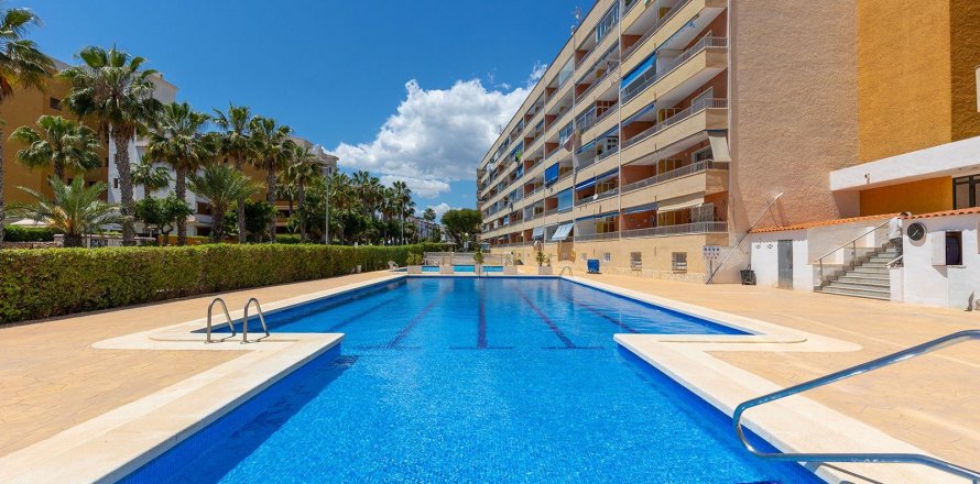 Apartment Torrevieja, Alicante, Espagne 3 chambres, 123 m2 No. 127277