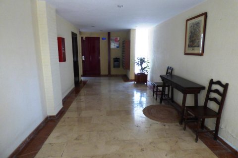 Dzīvoklis pārdošanā Alicante, Spānijā 1 istaba, 45 m2 Nr. 127281 - attēls 24