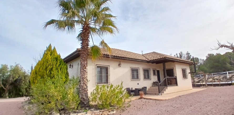 Commercial property Monovar, Alicante, Spain 9 bedrooms, 831 sq.m. No. 131663