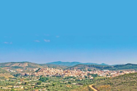 Lokal usługowy Alicante, Hiszpania 17 sypialni, 1286 mkw. nr 130393 – zdjęcie 14