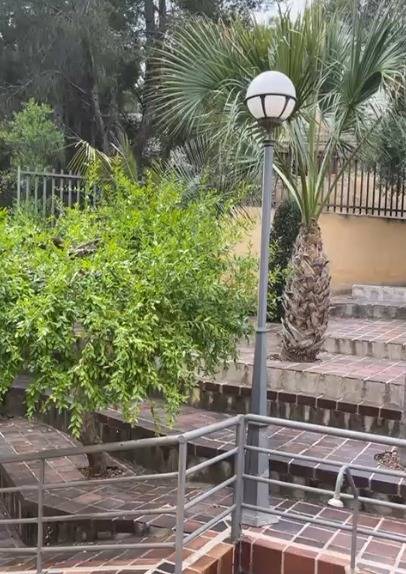 Huvila El Palmar, Murcia, Espanja 6 makuuhuonetta, 781 m2 No. 129389