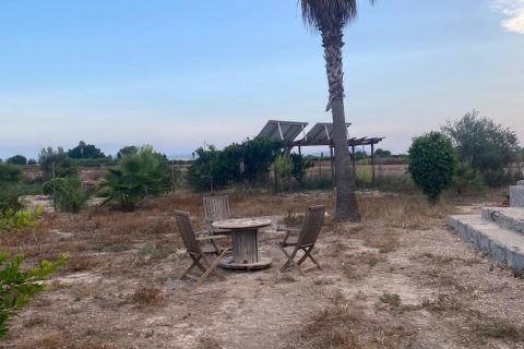 Villa en venta Benejúzar, Alicante, España 3 dormitorios, 110 m2 No. 129391 - foto 7