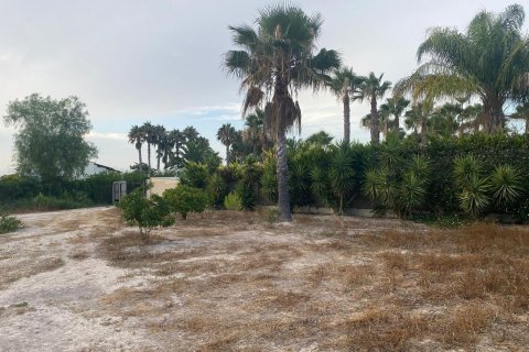 Villa en venta Benejúzar, Alicante, España 3 dormitorios, 110 m2 No. 129391 - foto 4