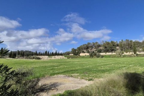 Villa zum Verkauf Montuiri, Mallorca, Spanien 4 Schlafzimmer, 230 m2 Nr. 127051 - Foto 3