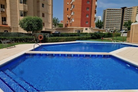 Apartment for sale Benidorm, Alicante, Spain 3 bedrooms, 120 sq.m. No. 125590 - photo 19