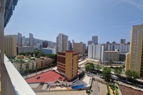 Apartment for sale Benidorm, Alicante, Spain 3 bedrooms, 120 sq.m. No. 125590 - photo 1