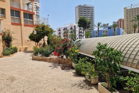 Apartment for sale Benidorm, Alicante, Spain 3 bedrooms, 120 sq.m. No. 125590 - photo 22