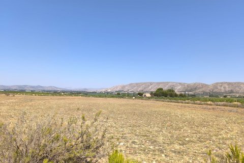 Finca for sale Villena, Alicante, Spain 6 bedrooms, 606 sq.m. No. 131537 - photo 15