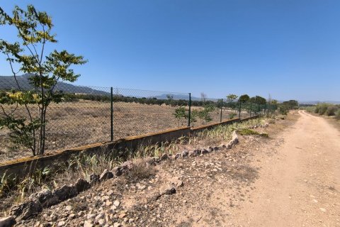 Finca for sale Villena, Alicante, Spain 6 bedrooms, 606 sq.m. No. 131537 - photo 12