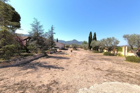 Finca for sale Villena, Alicante, Spain 6 bedrooms, 606 sq.m. No. 131537 - photo 6